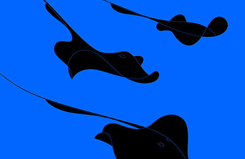 stingray